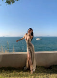Glittering Mermaid Spaghetti Strap Champagne With Corset Back Slit Long Prom Dresses Inspo 18th Birthday Outfits Formal Dress HZ0311