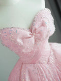 Cute Ball Gown Sweetheart Pink Tulle Long Prom Dresses Inspo 19th Birthday Outfits Formal Dress HZ0311