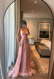 Special A Line Sweetheart Pleated Chiffon Pink Sleeveless Feathers Long Prom Dresses Inspo Prom Gown HZ0311