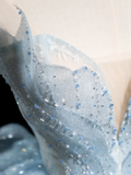 Pretty Ball Gown Sweetheart Light Sky Blue Tulle Senior Aesthetic Prom Dresses Prom Gowns Formal Outfits Graduation Dress HZ0311