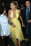 Celebrity Dresses A Line Chiffon Deep V Neck Pleat Prom Dresses Evening Formal Gowns HZ0311