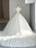 Timeless Ball Gown Sweetheart White Sequin Tulle Wedding Dress Long Fairytale Autumn Bridal Dresses HZ0311